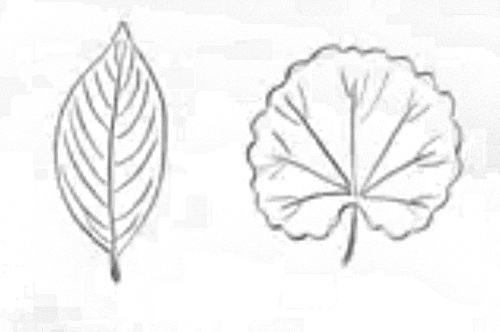 2 f